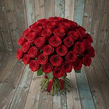 Букет 55 Красных роз Фридом #REPLACE_PRED# Кирово-Чепецке
