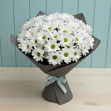 Букет цветов из:  Хризантемы в Кирово-Чепецке