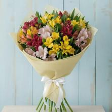 Букет цветов из:  Альстромерии в Кирово-Чепецке