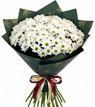 Букет цветов из:  Хризантемы в Кирово-Чепецке