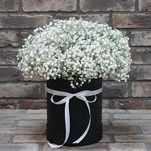Цветочная композиция из Гипсофила в шляпной коробке в Кирово-Чепецке
