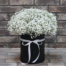 Цветочная композиция из Гипсофила в шляпной коробке в Кирово-Чепецке