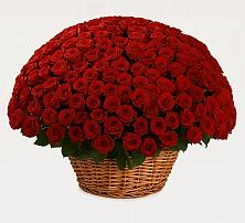 Премиум букет из: Розы в Кирово-Чепецке